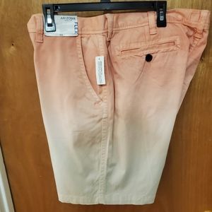 Arizona graded graphic  shorts